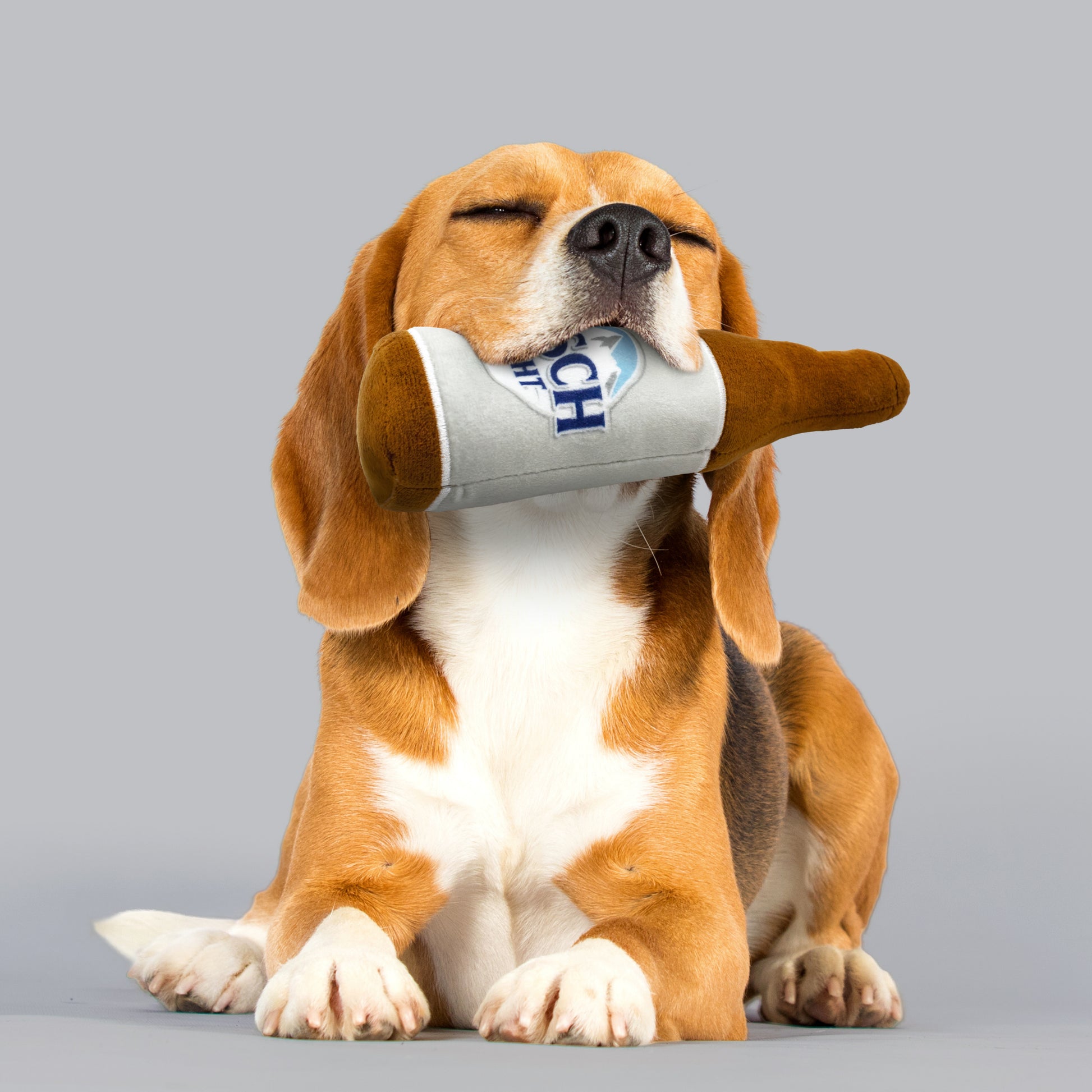 Dog holding a toy in its mouth against a gray background