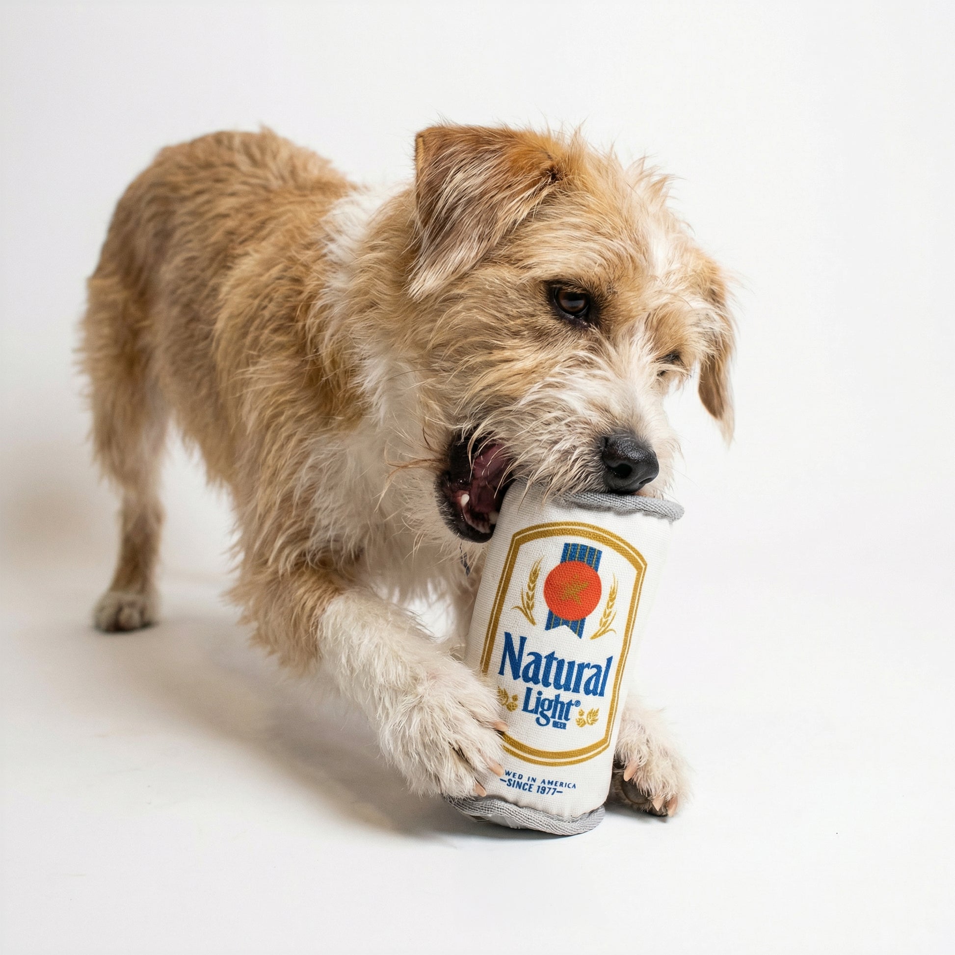Natural Light Tough Dog Toy Can