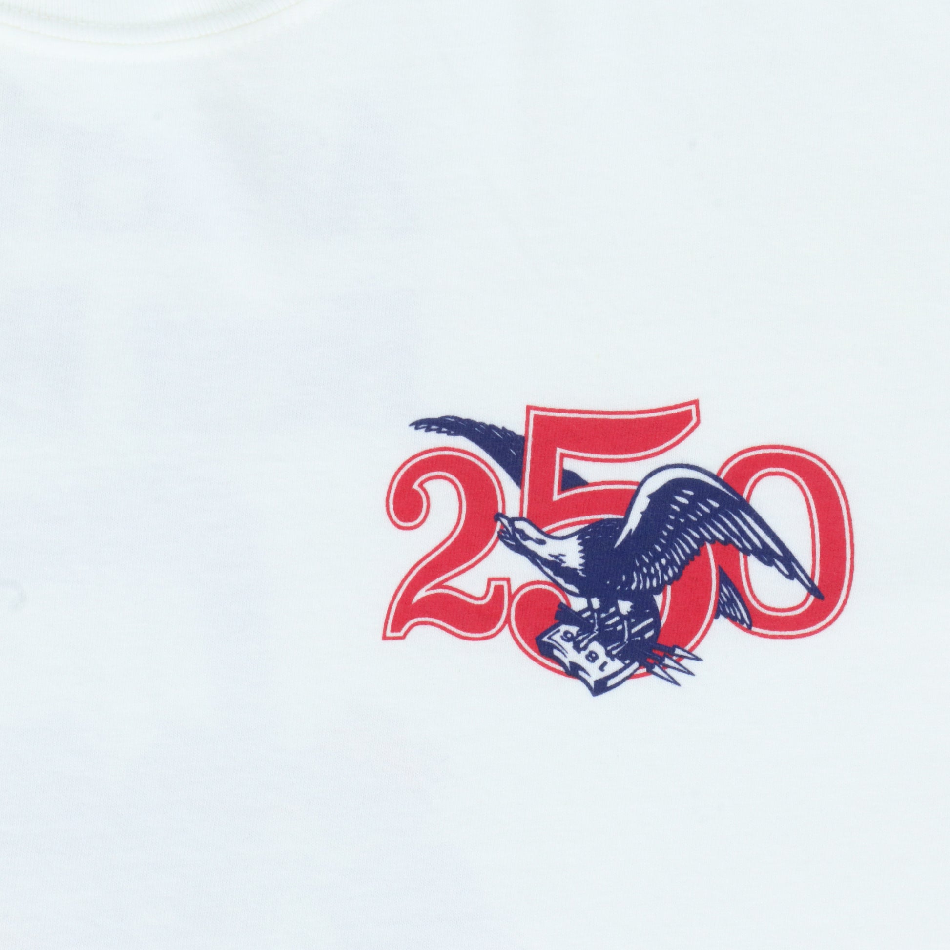 americas-best-buds-tee-shirt-front-detail