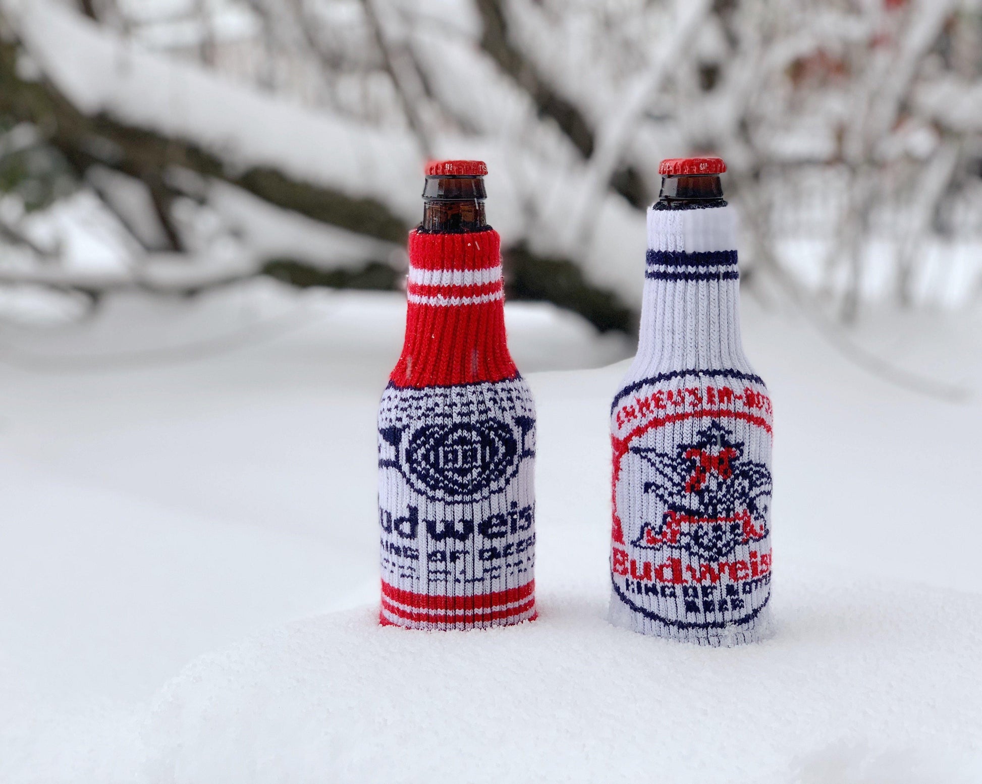 budweiser sweater bottle coolie two styles, one in red and the other in white