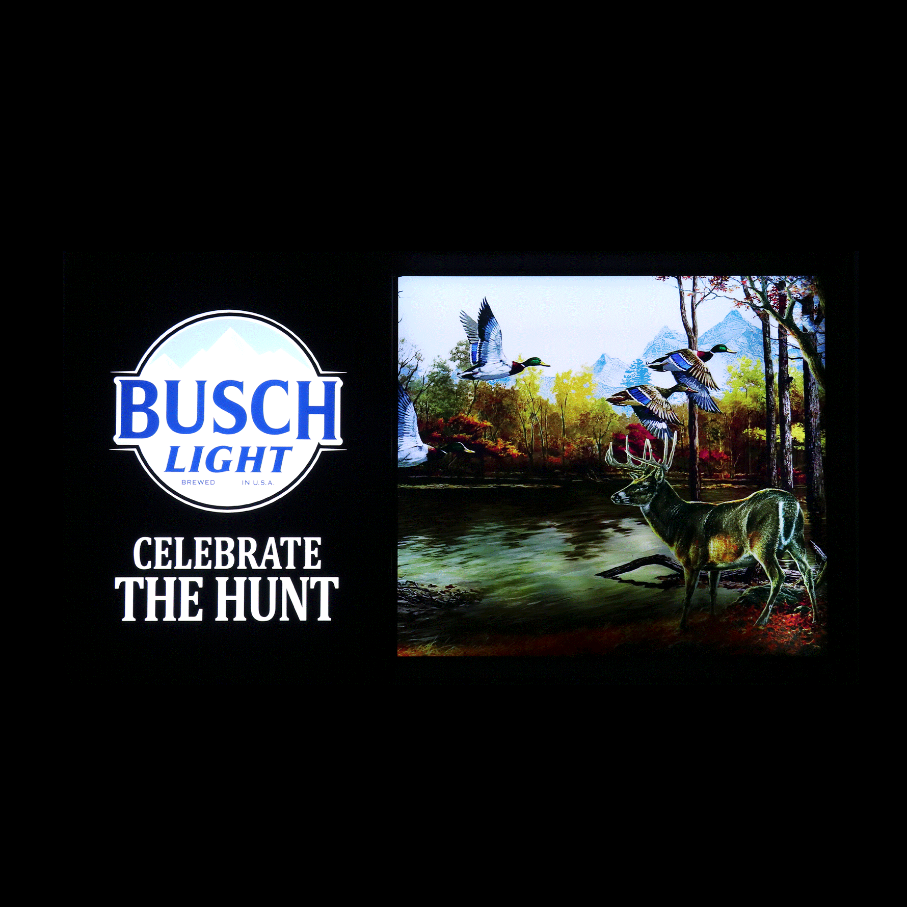 Busch & Busch Light Merchandise