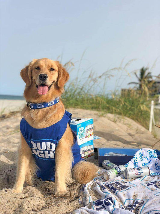 Bud_Light_Pet_Small_Collar