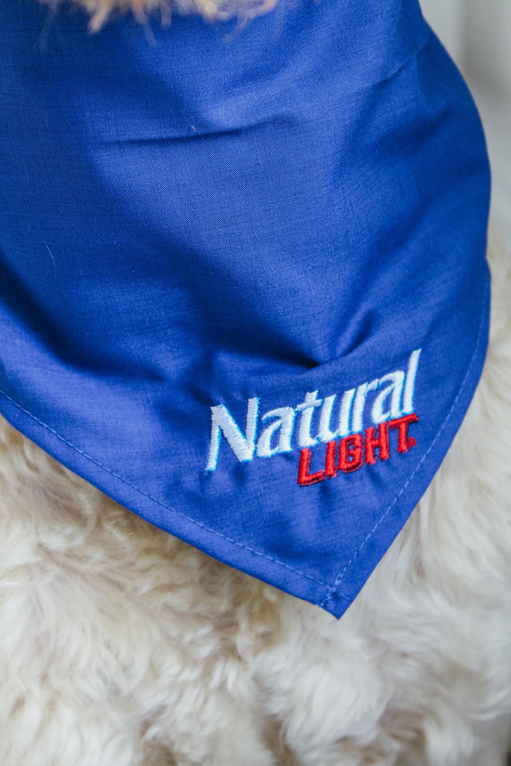 Labradoodle Closeup Wearing Natural Light Pet Bandana