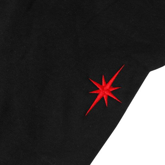 Close up of red embroidered Stella Star